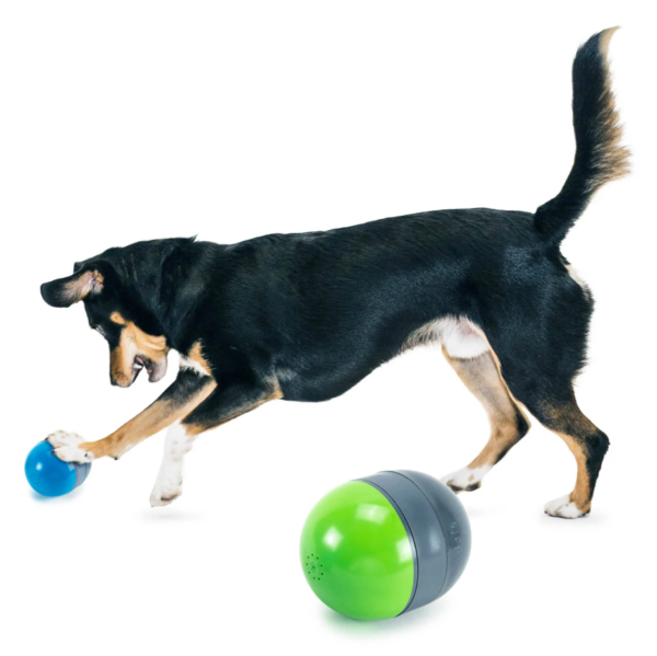 Ricochet Electronic Dog Toy