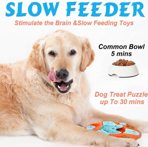 Brain-Engaging Dog Puzzles for Enhanced Cognitive Play - Image 5